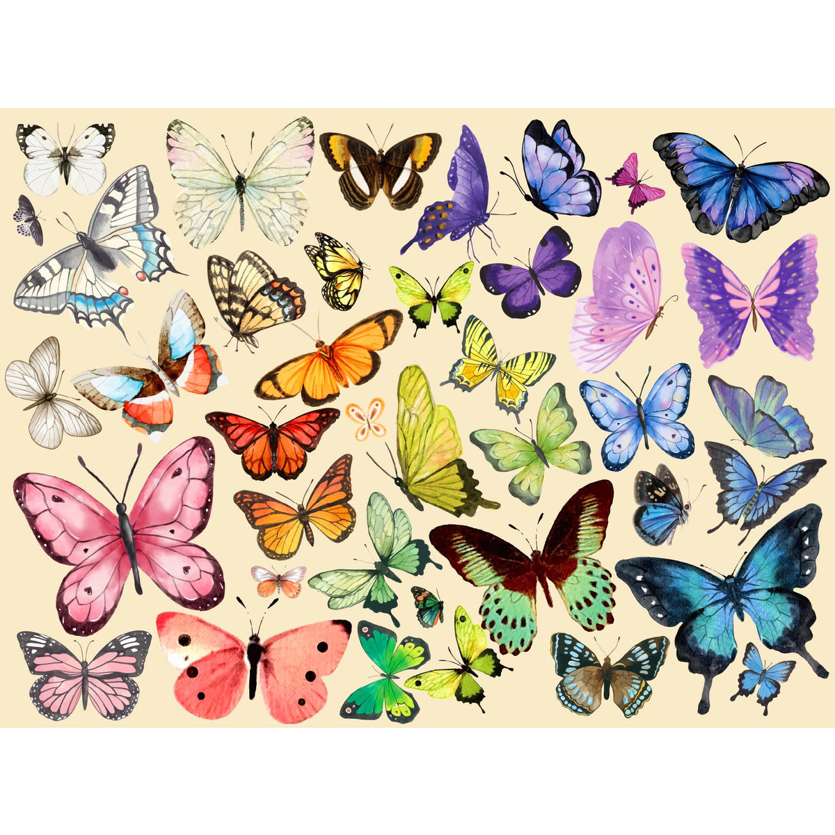 TAOZI&LIZHI butterfly puzzle "Butterfly Beauty", 1000 pieces